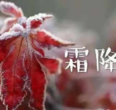 “悠悠二十四节气，诗意春夏又秋冬”人民路教育集团朝阳小学“霜降”综合实践篇