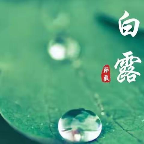 “悠悠二十四节气 诗意春夏又秋冬”人民路教育集团“白露”综合实践篇