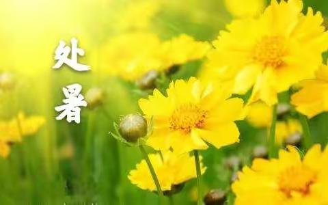 悠悠二十四节气，诗意春夏又秋冬——人民路教育集团传统文化研学之二十四节气“处暑”篇