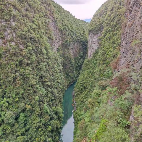 屏山大峡谷