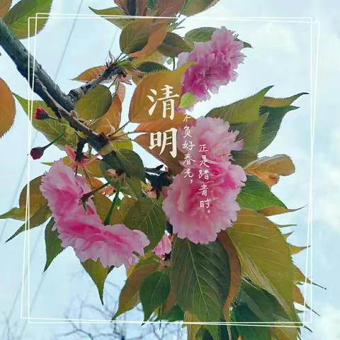 “亲亲春姑娘”――记铁山垅中心幼儿园“踏春”系列活动之“大班年级组”