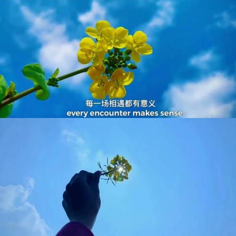 “停课不停学，假期添精彩”――铁山垅中心幼儿园教师成长篇