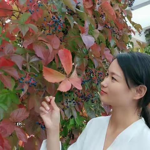 青云镇中心幼儿园优秀教师焦秀俊——爱与责任 相伴同行