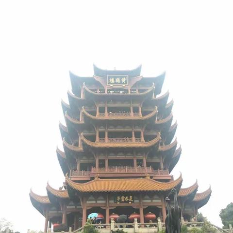 可苗走进武汉