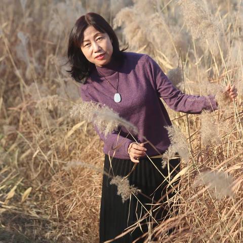 初冬湿地公园芦苇