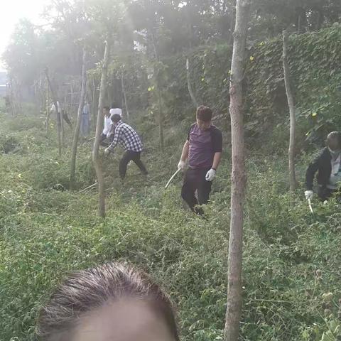骄阳烈日，周末咱们齐上阵，人与野草之间的较量