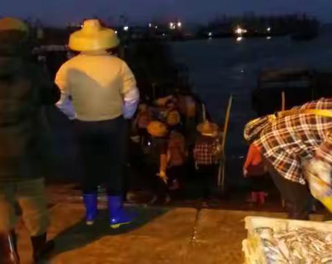 儋州白马井渔港早市