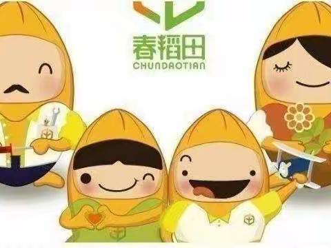 春稻田音乐美学文化第十四周一一吾爱宝贝幼儿园