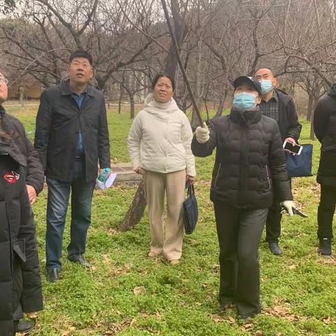 许昌市疾控中心邀请专家现场传授果树剪枝技术