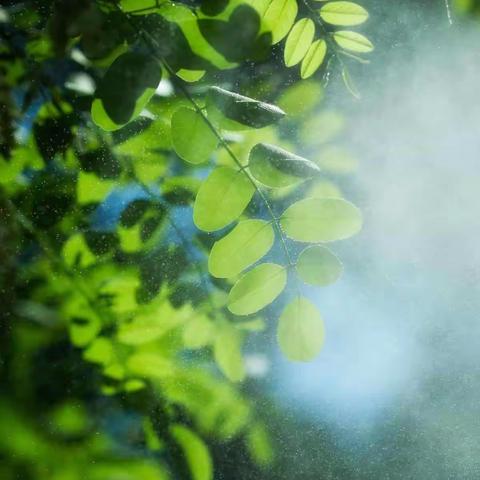 努力活成自己想要的样子