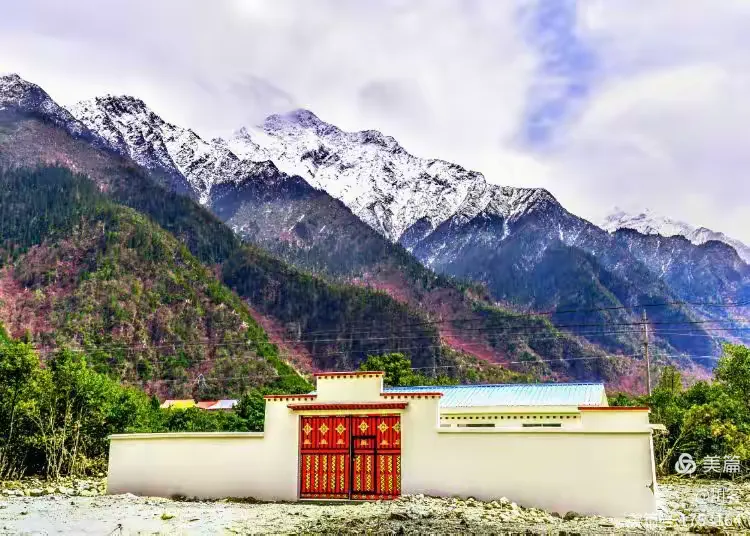 林芝小院租赁信息网站_林芝小院租赁信息网站查询