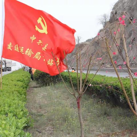 环境大整治，让干线公路靓起来