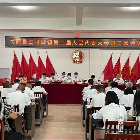 三县岭镇第二届人民代表大会第三次会议胜利召开