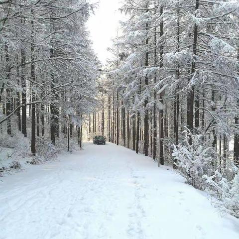 壬寅年腊月二十三风雪大作