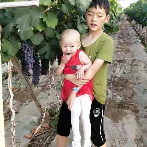 快乐而忙碌的暑假