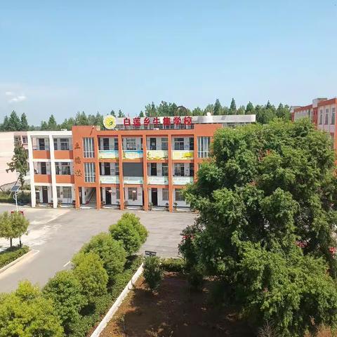 牛集学校开学啦