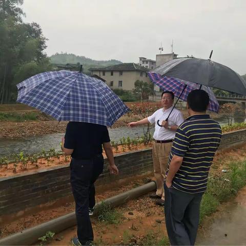县级河长侯一晞副县长巡查下际溪