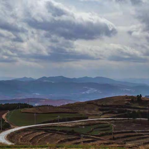 云南红土地梯田油菜花