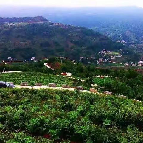 我去过许多地方，却又回归故里——拖歪