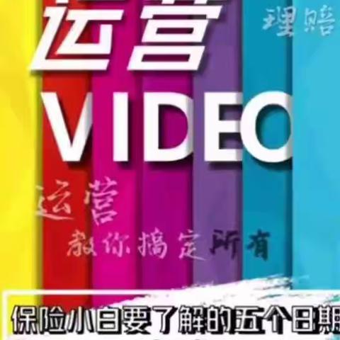 【运营video】保险小白要了解的五个日期——犹豫期（视频）