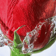 外国人不跳广场舞 退休后在干嘛？绝对让你吃惊！