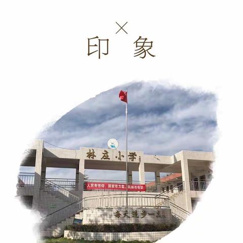 多彩活动，创新教研——观音寺镇林庄完全小学“一校一教研”活动