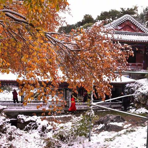 瑞雪初霁（2021）