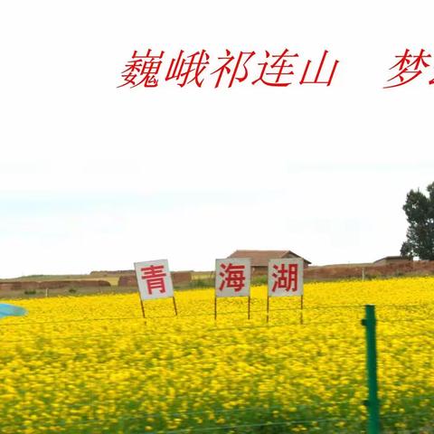 巍巍祁连山    梦幻青海湖