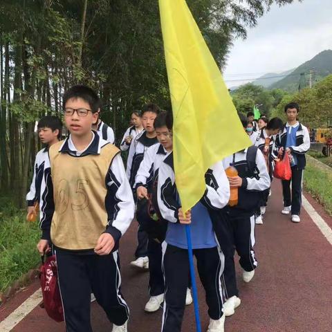 [805] ——春游踏青研学来 莫负春日好韶光