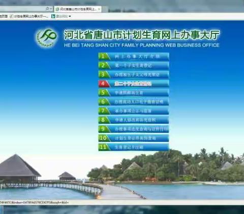 网上办理第二个子女生育登记操作说明