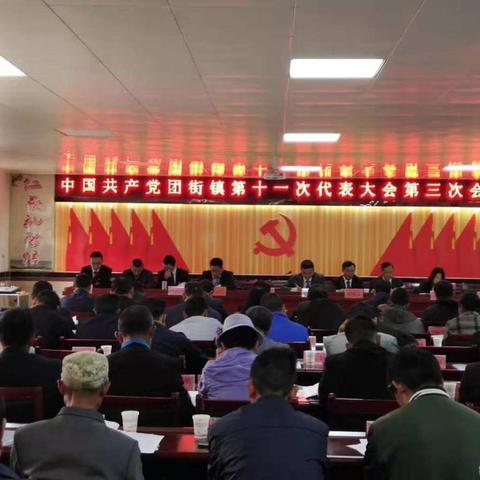 中国共产党团街镇第十一次代表大会第三次会议胜利召开