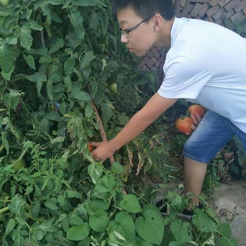 制作西红柿酱🍅329班李康阳