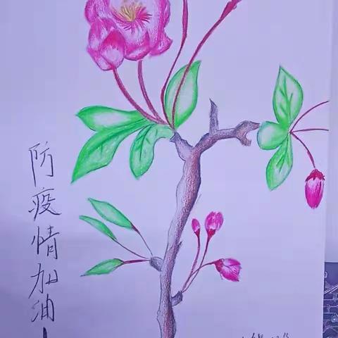 人小五（10）班不“疫”样的宅家时光。 疫情结束，春暖花开，山河无恙，人间皆安，你看，是春天了没错。