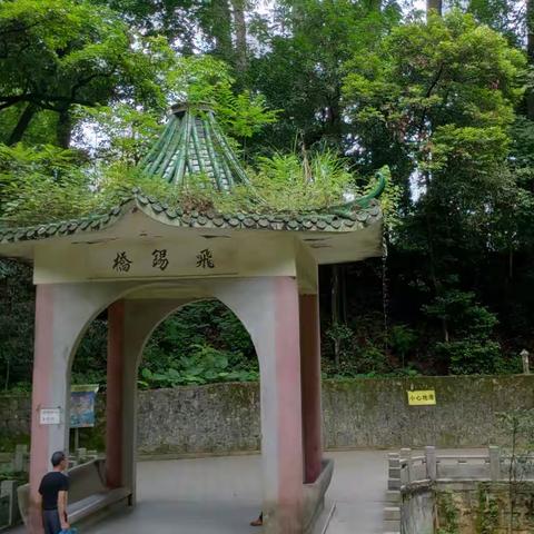 鱼儿在向他问好