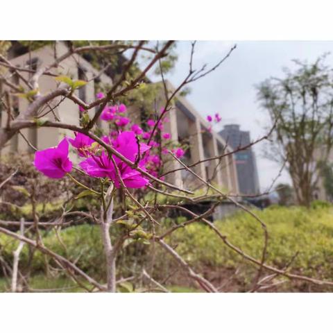 衡川与我