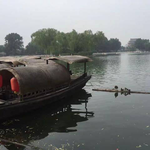 去国十五年·旧体诗四首