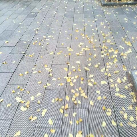 爱是一份责任，教育更是一份责任。要爱， 请深爱----记第三次培训磨课研课部分。