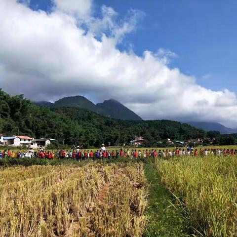 芒市遮放镇弄坎恩慧幼儿园大二班9月——我是大班哥哥姐姐