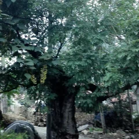 南石门--我的美丽故乡（副本）