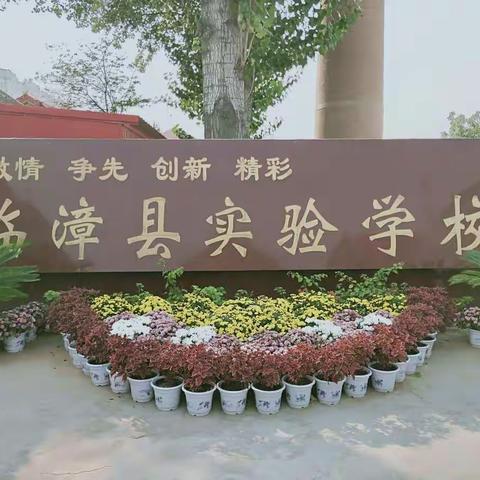 实验学校一年级读书不停歇，停课不停学