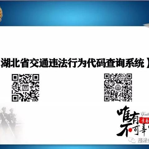 湖北省通违法行为代码查询系统【关于我们】