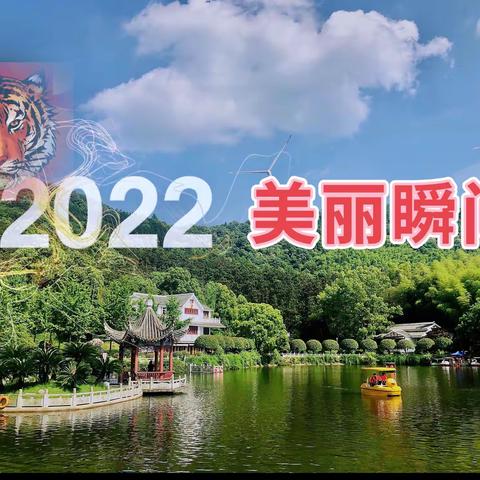 2022-精彩回顾