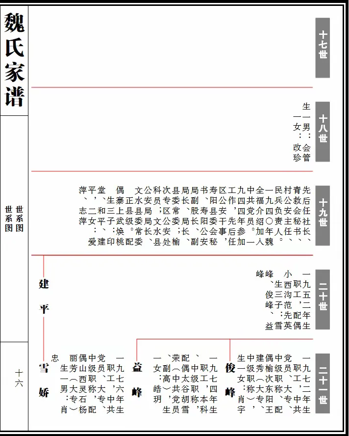 武乡县蟠龙镇小西沟村魏.武氏家谱