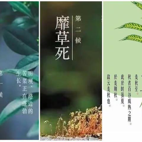 不忘初心，弘扬传统文化—夏邱镇中心小学“玩美二十四节气”之小满