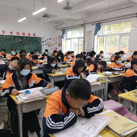 展现青春，再现活力——七四班学生生活纪实