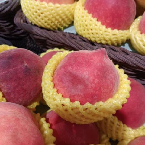 5月15号门店自查