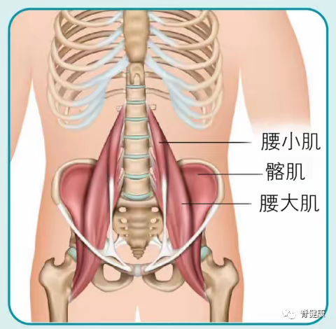 腰肌劳损不可逆！腰肌劳损的人都有这四个坏习惯