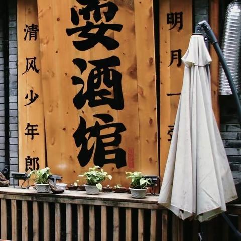 走街串巷（十六）泡桐树街