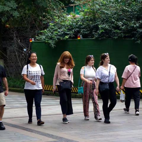 成都城市印象（六十一）相亲角