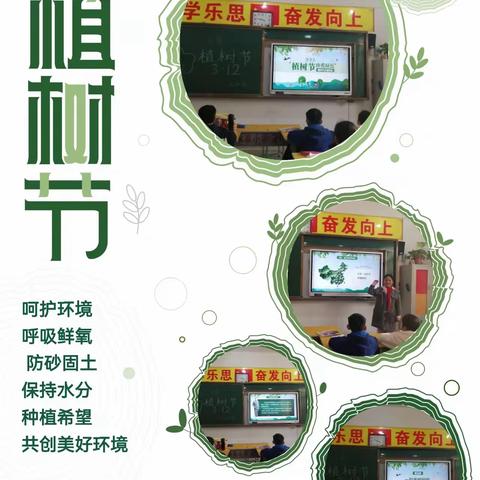 小手拉大手    添绿护绿一起走———水寨小学植树节系列活动